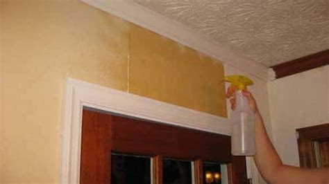 Removing Wallpaper Tips and Tricks | Airtasker Blog