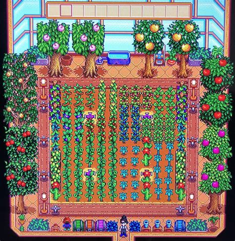 Stardew Valley Optimal Greenhouse Layout