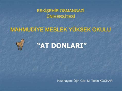 Ppt Eskisehir Osmangazi Niversitesi Mahmudiye Meslek Y Ksek Okulu At