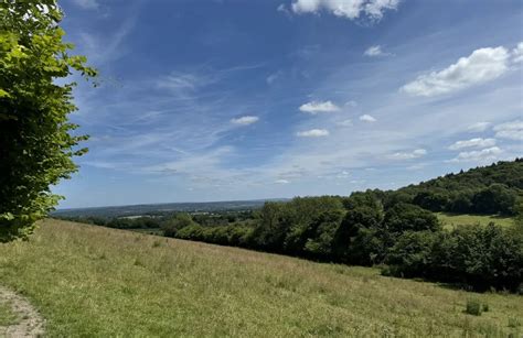 10 Best Bird Watching Trails In Hampshire Alltrails