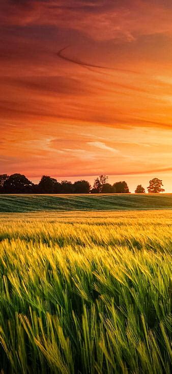 Ridgway Colorado, Colorado, mountains, nature, field, Ridgway, HD wallpaper | Peakpx