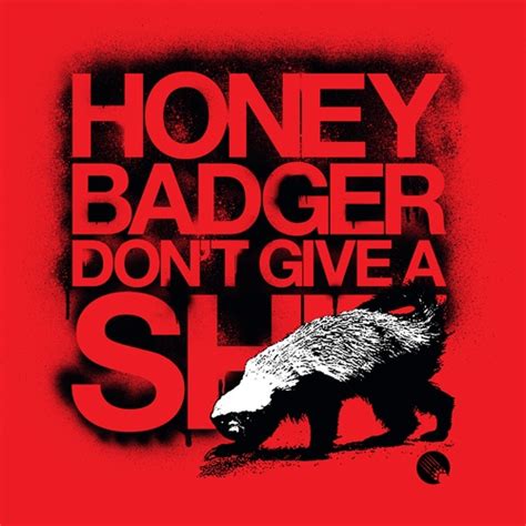 Don T Give A By Randall S Honey Badger DecalGirl Honey Badger