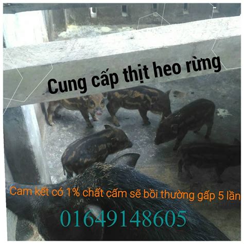 Hội những người thích nông sản sạch