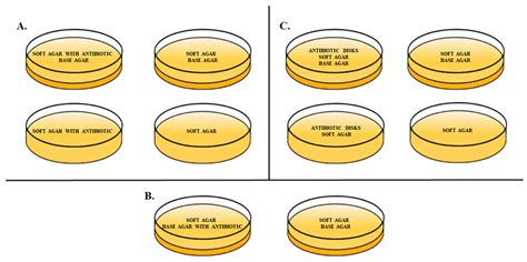 Lb Top Agar Recipe Besto Blog