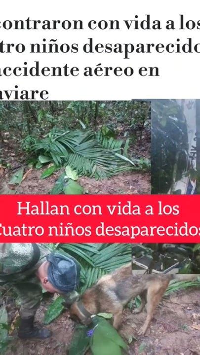 Hallan A Los 4 Niños Desaparecidos En Accidente De Avióneta Noticias