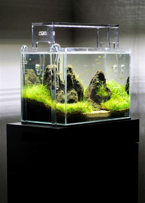 Ada Mini M Nature Aquarium Aquarium Nano Aquarium