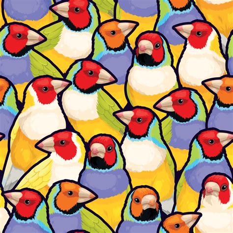 Seamless Pattern With High Detailed Gouldian Finches 43409802 Vector