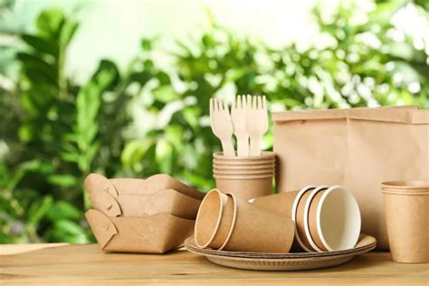 understanding  benefits  biodegradable food packaging
