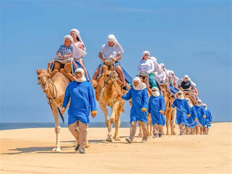 Cabo Adventures Tours | Los Cabos, Mexico