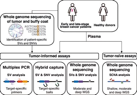 Comparison Of Tumorinformed And Tumorna Ve Sequencing Assays For