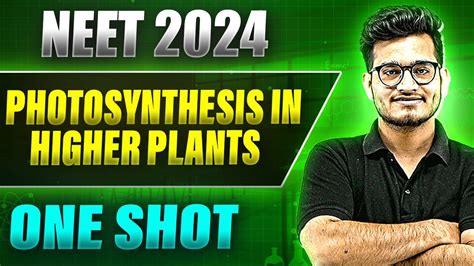 Photosynthesis In Higher Plants In Shot Full Chapter Coverage