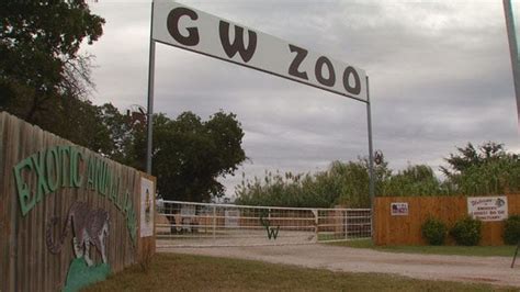 Zoo Owner Talks About Tiger Mauling At Wynnewood Animal Sanctuary