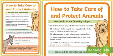 Caring For Animals Poster | Protecting Animals Information