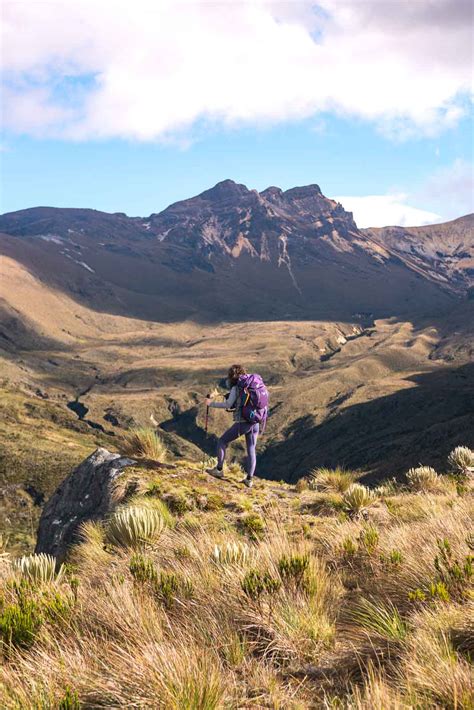 Trekking In Los Nevados National Park 3 Day Paramillo Del Quindio