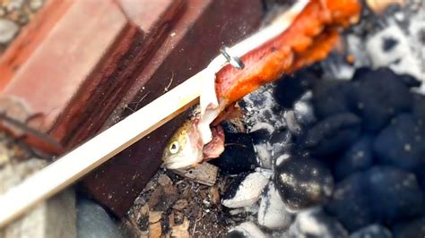 Catching And Cooking Rainbow Trout Over A Fire Youtube