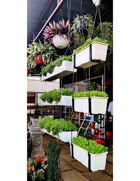 Rectangular Hanging Planter Inch Tier Hope Nursery