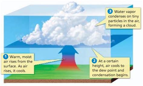 Cloud Formation And Precipitation Flashcards Quizlet