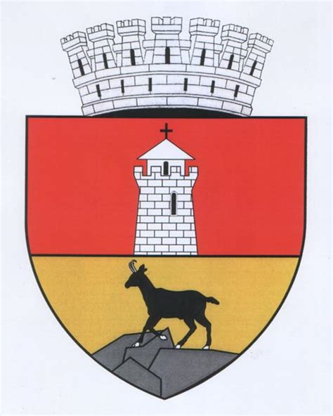 File Rou Nt Piatra Neamt Coa Png Wikimedia Commons