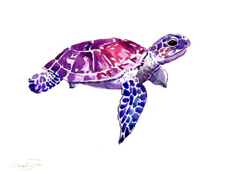 Sea Turtle original watercolor painting 9 X 12 in