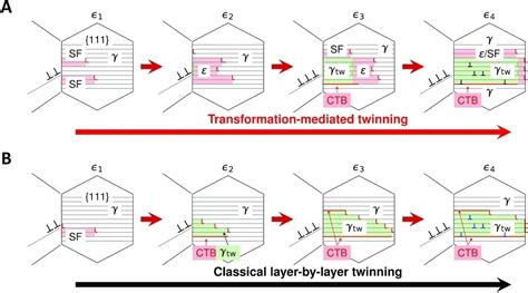 Deformation Twinning Mechanism Could Influence Alloy Design