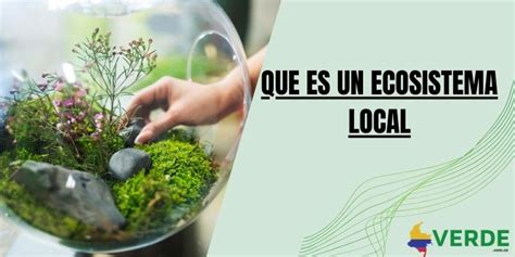 Importancia De Los Ciclos Biogeoqu Micos En El Ecosistema Colombia Verde