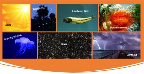 Course: Sources of light