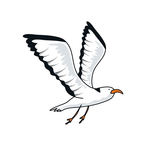 flying seagull bird 6211206 Vector Art at Vecteezy