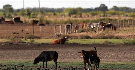 IDB Approves 500 Mln Loan To Argentina To Fight Climate Change Reuters