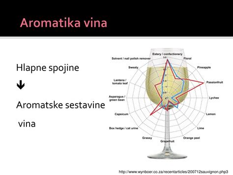 Ppt Vinarstvo Sekundarni Metaboliti Vocs Aromatske Sestavine Vina