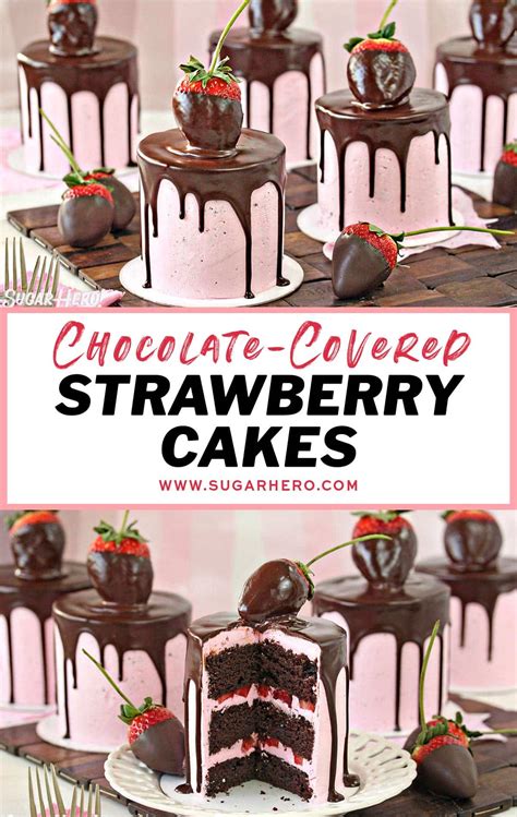 Chocolate Covered Strawberry Mini Cakes Sugarhero