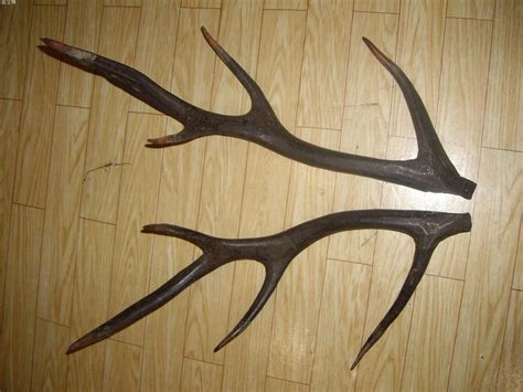 lu jiao dr lia andrews