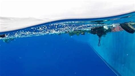 Scoperto Un Fungo Marino Che Mangia La Plastica Della Great Pacific