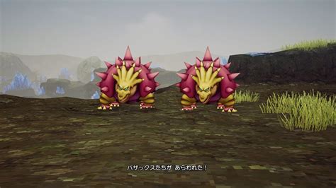 Dragon Quest X Offline Jp Leveling To Gladiator Level Youtube