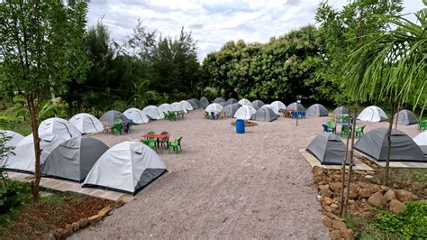 Night Camping In Ananthagiri Hills Vikarabad My Adventure Zone