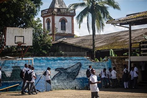 Humpback Whales Draw Thousands Of Visitors To A Small Port On Colombia