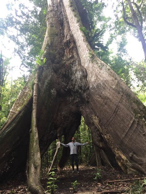 Gallery Amazon Experience Tours In The Amazon River