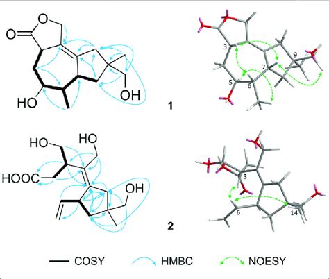 Chemical Structures Of Compounds 1 4 Download Scientific Diagram