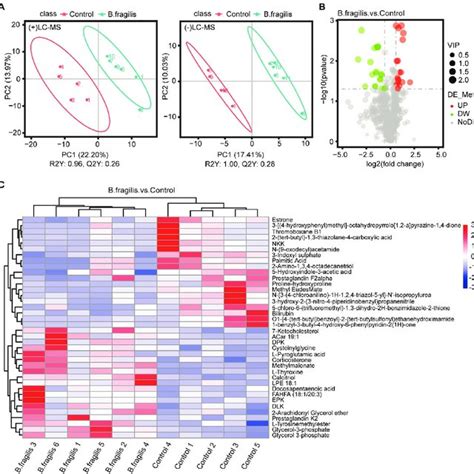 Metabolomics Analysis Of Vaginal Differential Metabolites Between The