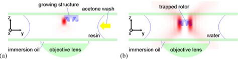 Schematic diagrams of a) the two-photon photopolymerization process and ... 
