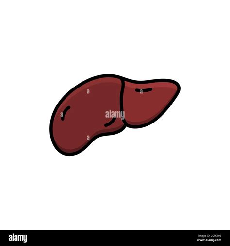 Liver Vector Design Template Illustration Stock Vector Image And Art Alamy