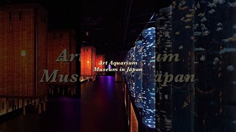 Lets Explore The Art Aquarium Museum In Japan Japan Artaquarium