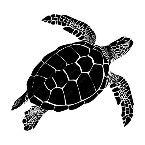 Silhueta tortuga cuerpo entero color negro sólo | Vector Premium