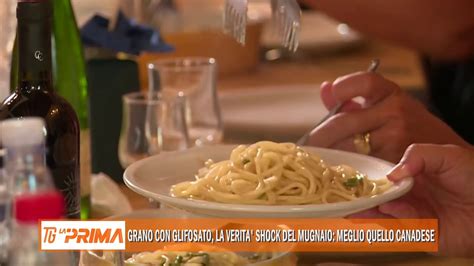 Grano con glifosato la verità shock del mugnaio meglio quello