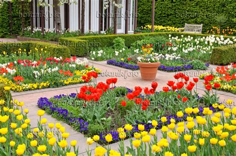 Image Tulip Garden Britzer Garten Berlin Germany 471192 Images