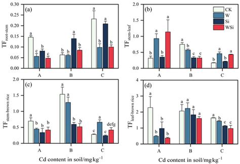 Plants Free Full Text Synergistic Effects Of Water Management And Silicon Foliar Spraying On