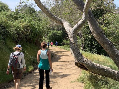 Fern Dell to Mt. Hollywood - Type One Outdoors