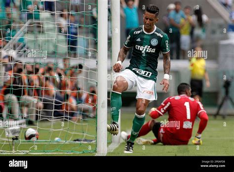 Sp Sao Paulo Jogo Amistoso Palmeiras X Ponte Preta