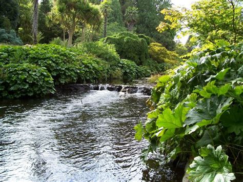 Free Images Tree Forest Sky Flower River Pond Stream Green