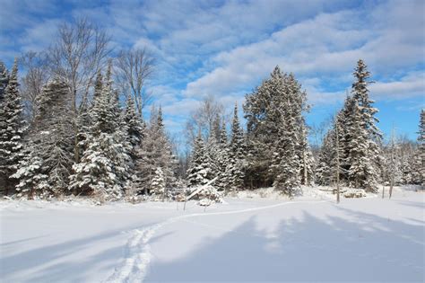 Southern Ontario Land For Sale Dignam Land Land For Sale In Canada