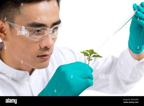 Male Young Scientists Study Plants Stock Photo Alamy